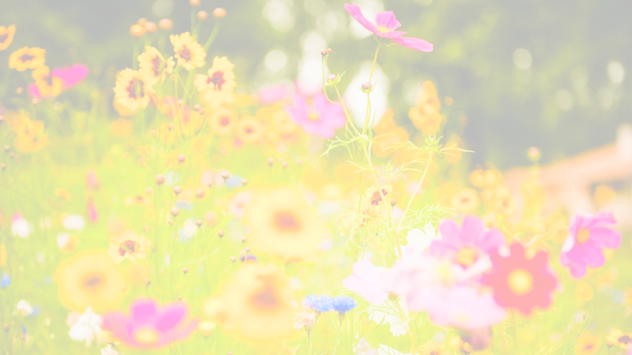 flowerBackground2
