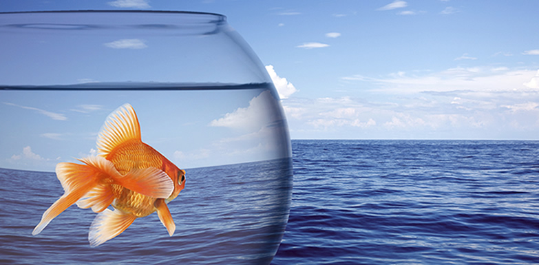 wwd_mindset_and_beliefs