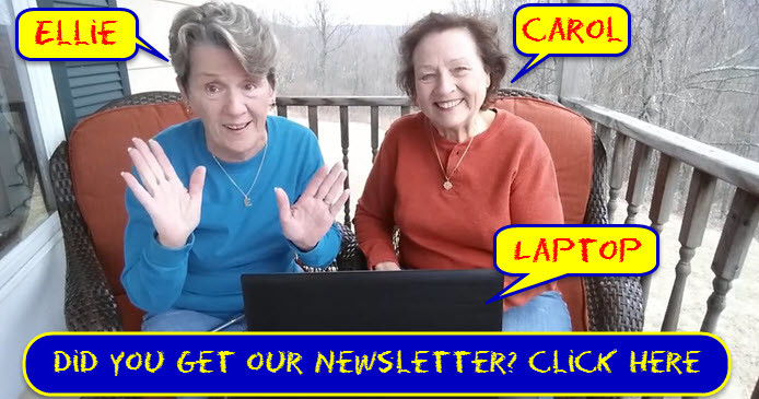 Newsletter