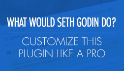 What Would Seth Godin Do Customization