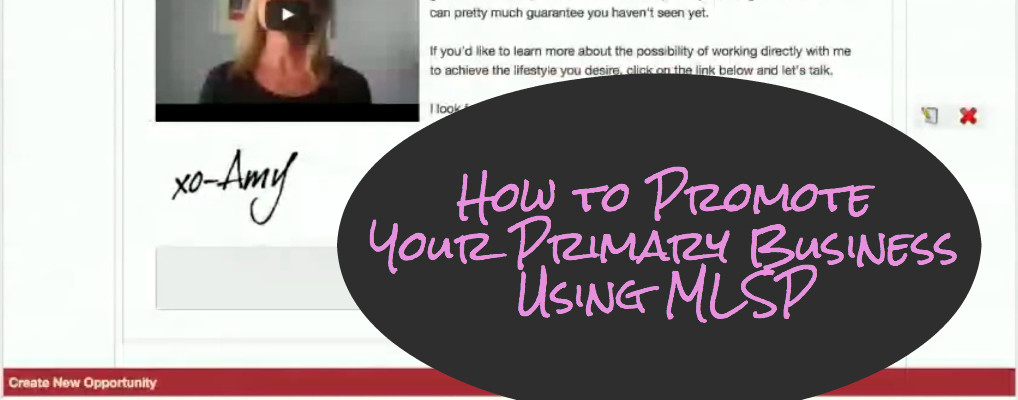 How to Promote Your Primary Business Using MLSP