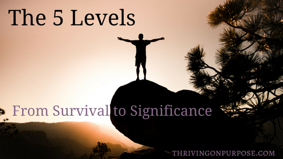 The 5 Levels from Survival to Significance