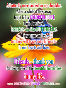 friends are like butterflies