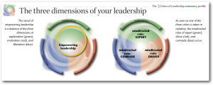 leadership summary