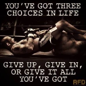 give up, give in, give all you got
