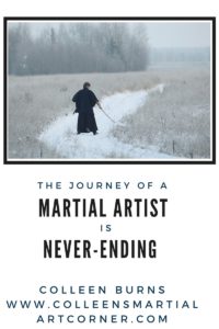 Martial art journey