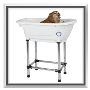 Dog and cat bath