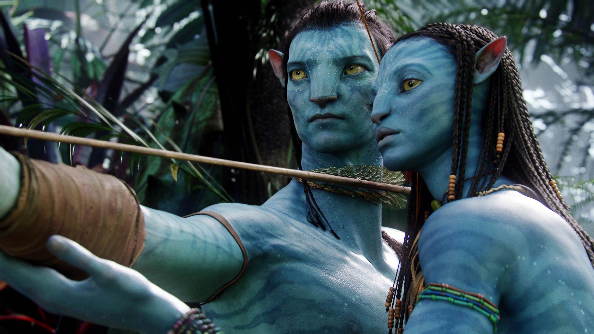Avatar, Customer Traits