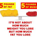 SCALE 3