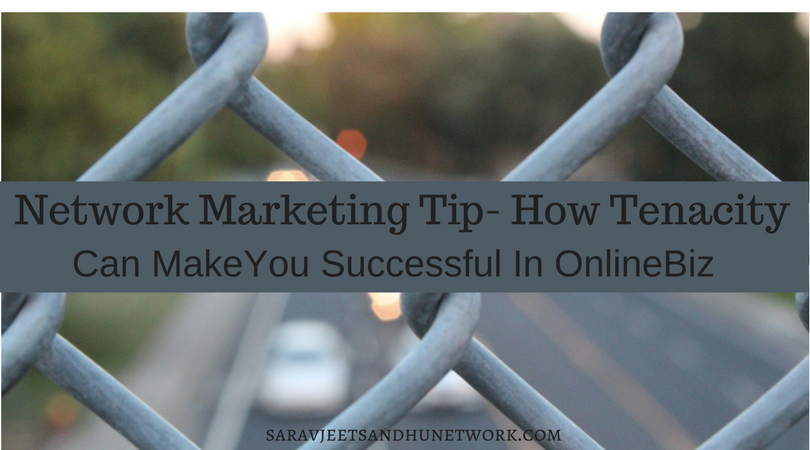 Network Marketing Tip - How Tenacity Can Make You Successful In OnlineBiz
