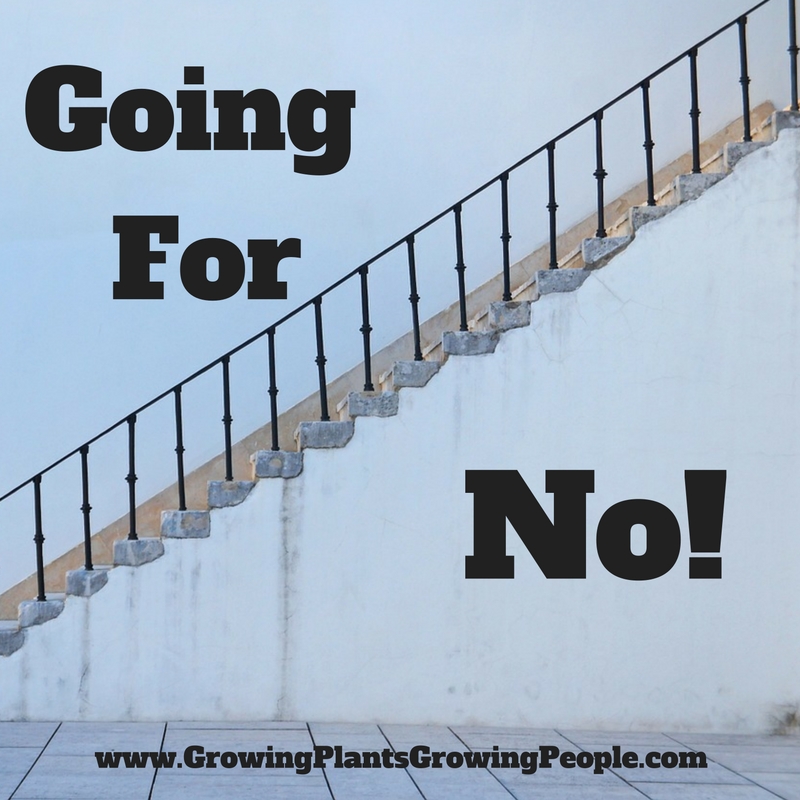 Going For No! Robert Bob Stafford