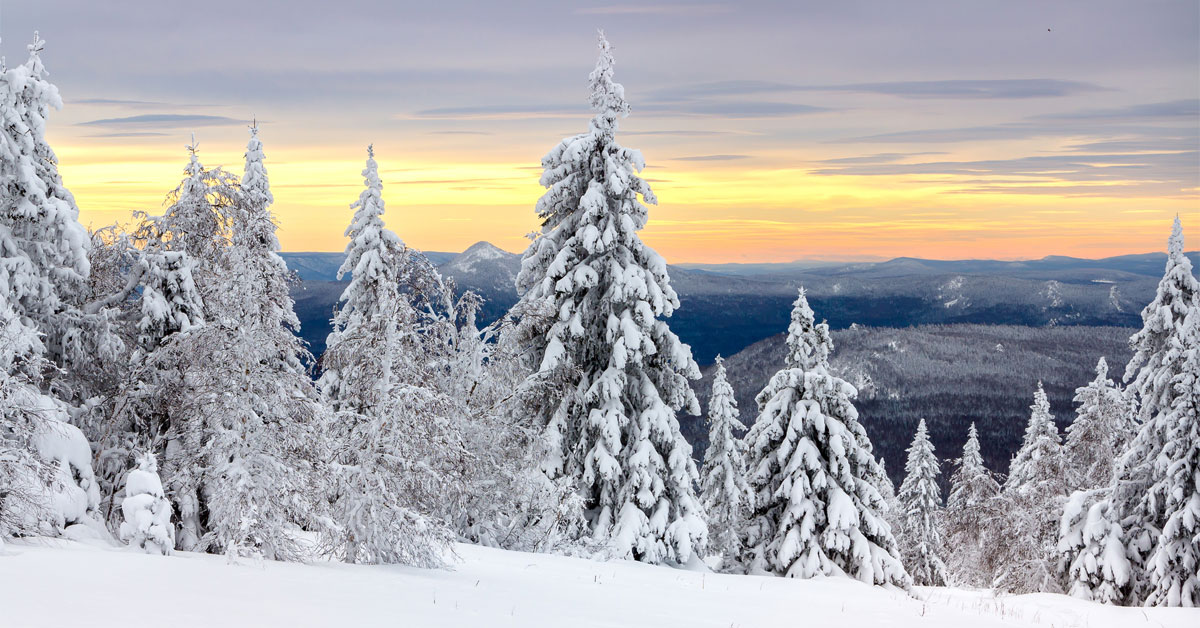 WINTER SOLSTICE