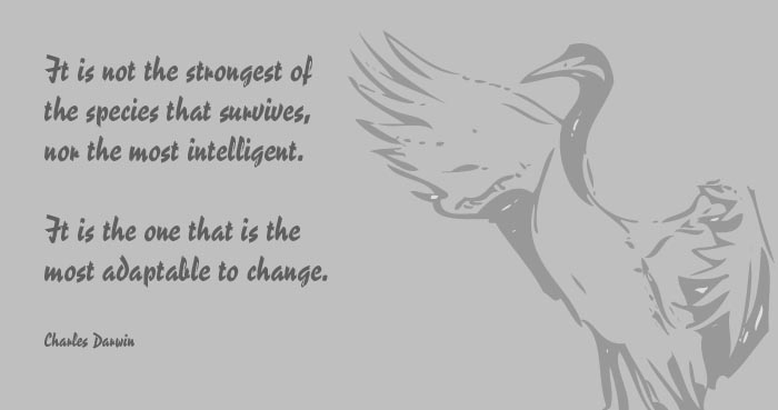 Quotes to Motivate and inspire